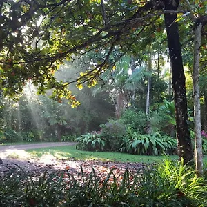 Holiday home Fanpalm Creek Hideaway, Diwan