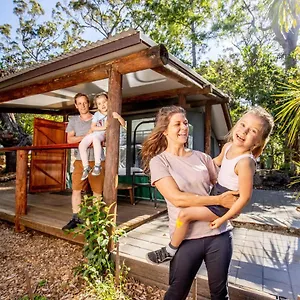 Campsite Binna Burra Rainforest Campsite, Gold Coast