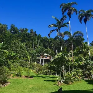 Holiday home A Daintree Garden, Diwan
